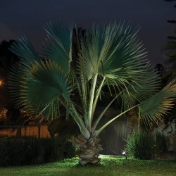 Lámpara con Estaca Ideal Zona Costera, Potencia Máx. 9 W, IP65, IK06, No incluye foco