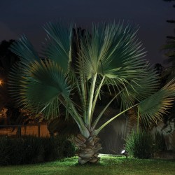 Lámpara con Estaca Ideal Zona Costera, Potencia Máx. 90 W, IP65, IK06, No incluye foco
