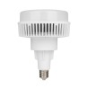 Foco de Alta Potencia LHB LED 100 W con Campana, Luz de Día, Base E40, No atenuable